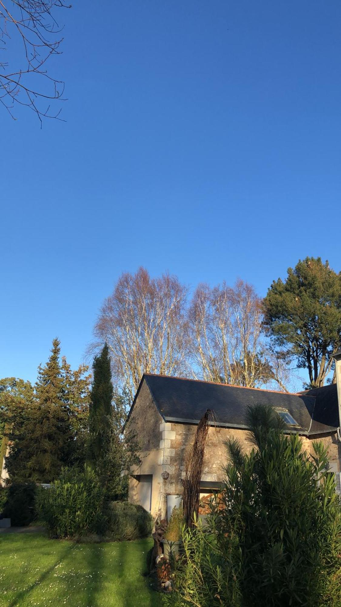 La Thibautiere Bed & Breakfast Blaison Exterior photo